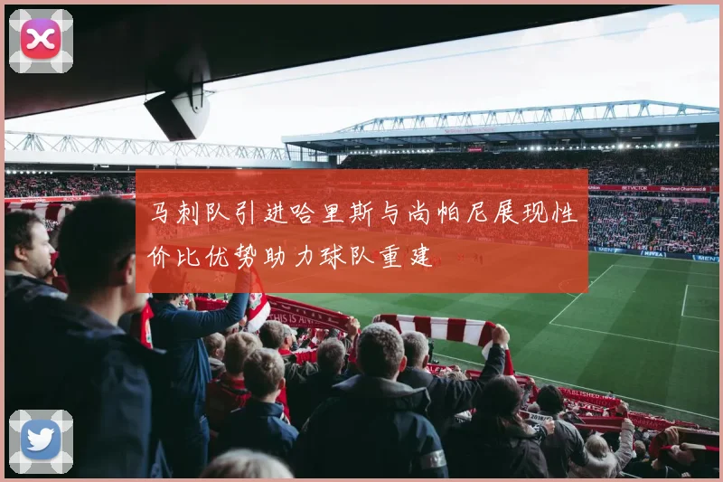 马刺队引进哈里斯与尚帕尼展现性价比优势助力球队重建
